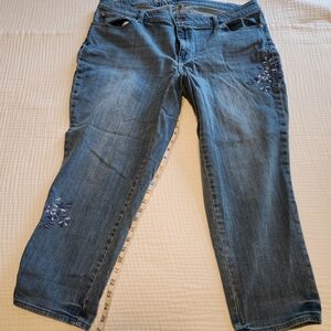 Talbots Flawless Girlfriend Jeans 18W Medium Ankle Embroidery